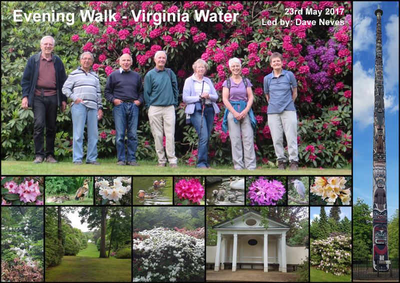 Evening Walk - Virginia Water - 23rd May 2017